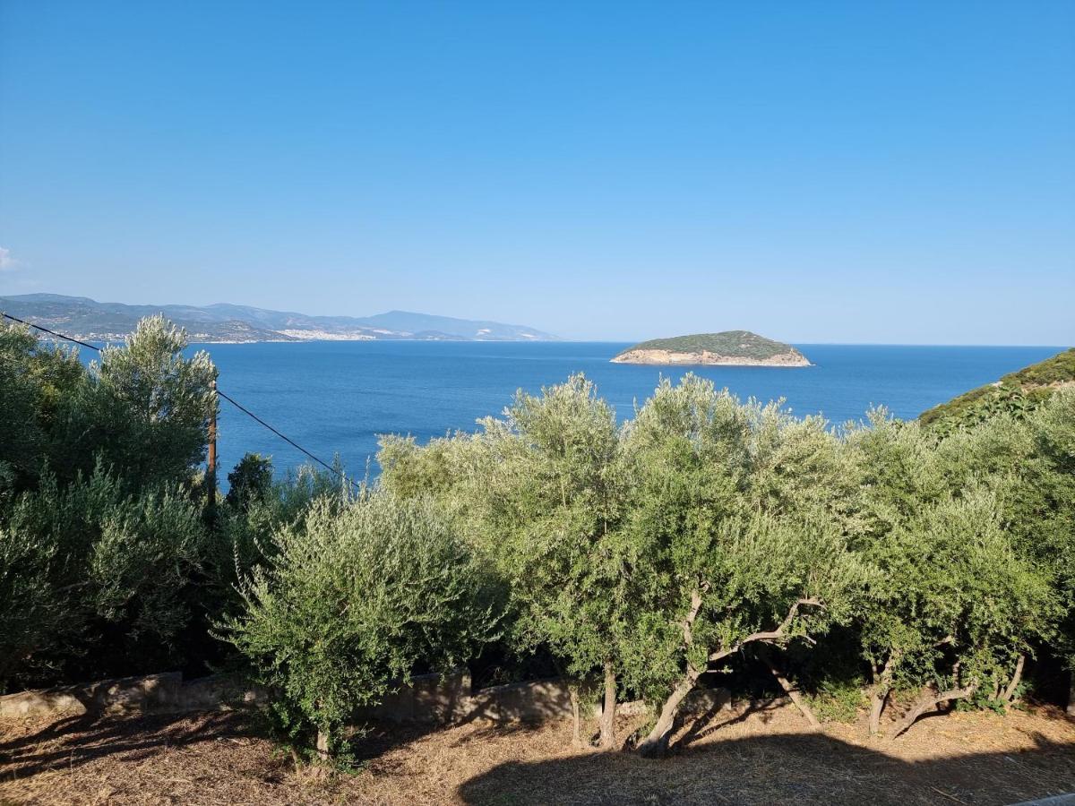 Maria Olive And Sea Villa Nea Iraklitsa 외부 사진
